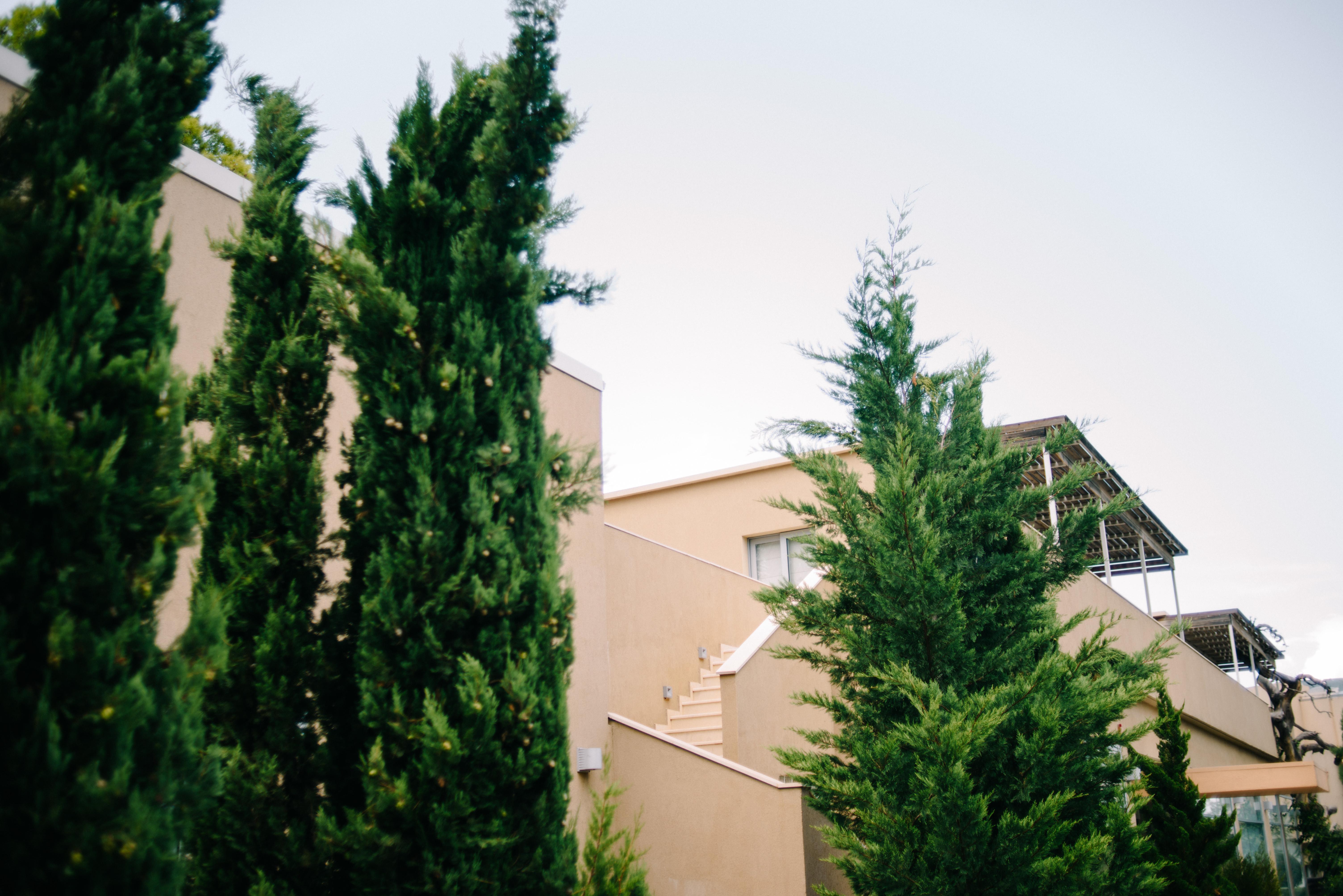 Sikyon Coast Hotel And Resort Xylokastro Exterior photo